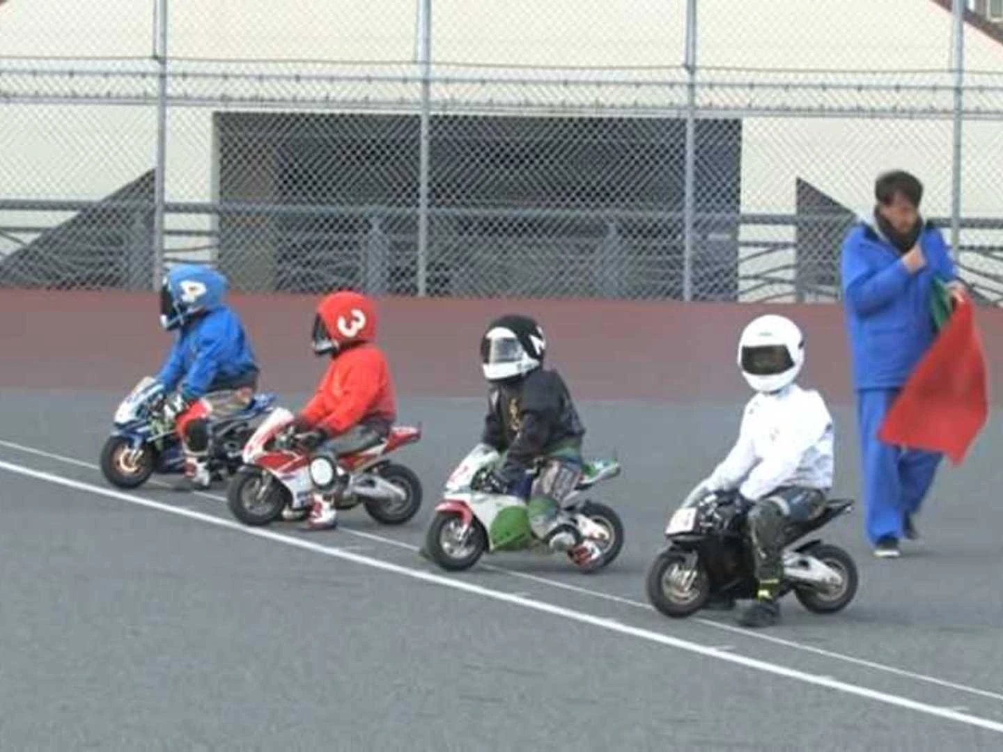 🦍 고릴라 공원(고리라 코엔)